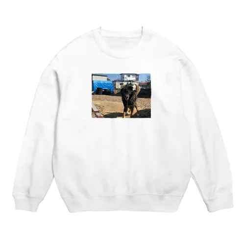 元気犬 Crew Neck Sweatshirt