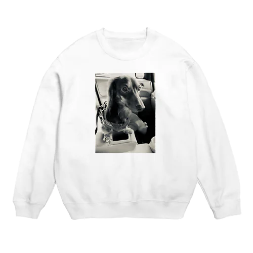 チョコタン  ミニチュアダックス Crew Neck Sweatshirt