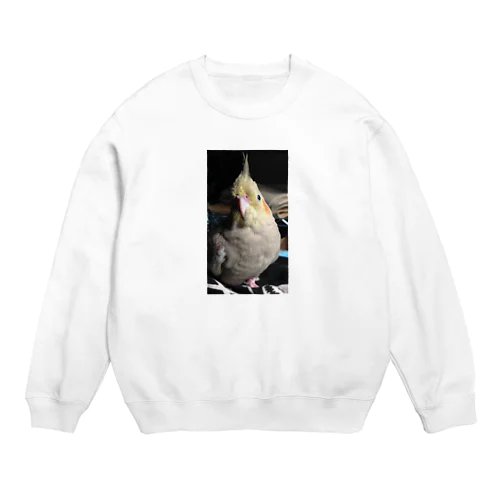 Nina Crew Neck Sweatshirt