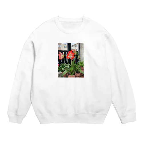 アマリリス Crew Neck Sweatshirt