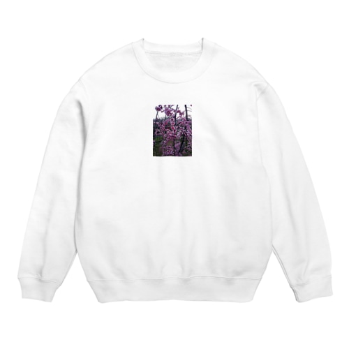 sakura Crew Neck Sweatshirt