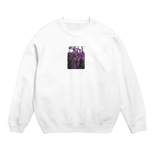 sakura Crew Neck Sweatshirt