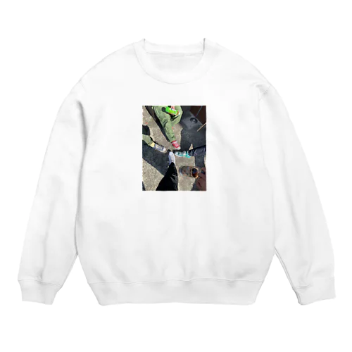 コンバー's Crew Neck Sweatshirt