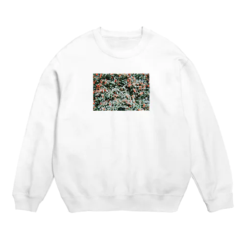 aka. Crew Neck Sweatshirt