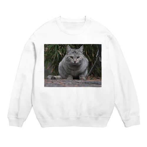 フユネコ Crew Neck Sweatshirt