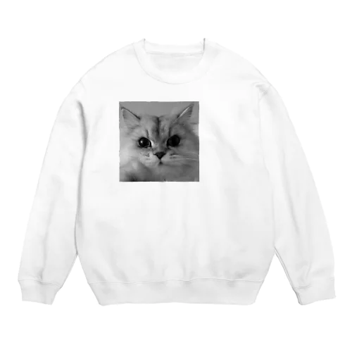 MILK Crew Neck Sweatshirt