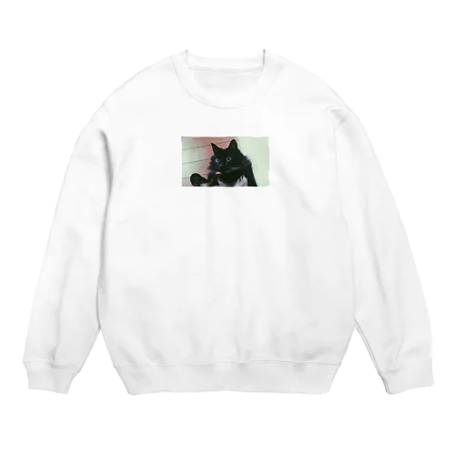 黒猫びっくりシリーズ Crew Neck Sweatshirt