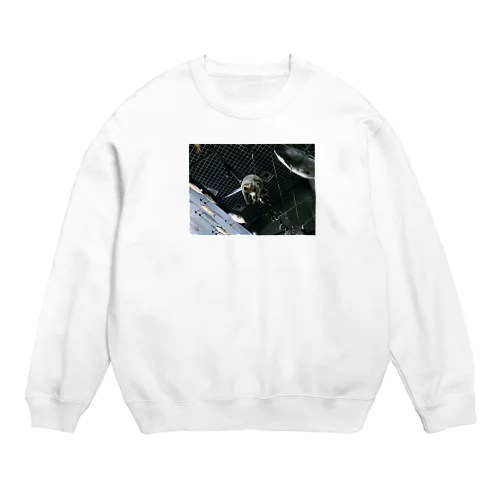 カワウソ顔の友達にあげたい品 Crew Neck Sweatshirt