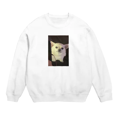 チワワチワワ Crew Neck Sweatshirt