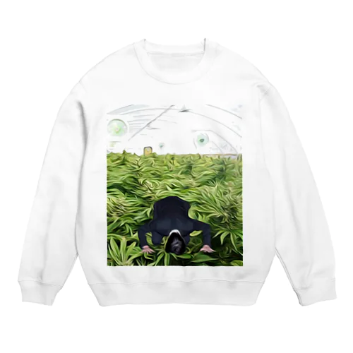 野菜畑で土下座 Crew Neck Sweatshirt