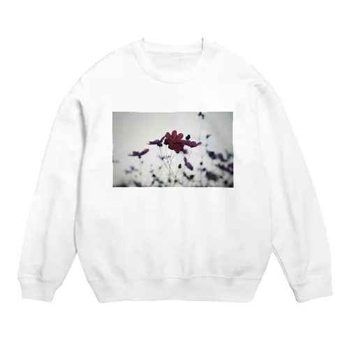 フィルムカメラで可愛いコスモス Crew Neck Sweatshirt