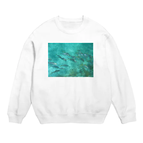 FISH,FL Crew Neck Sweatshirt