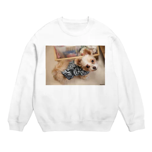 看板犬ラテ Crew Neck Sweatshirt