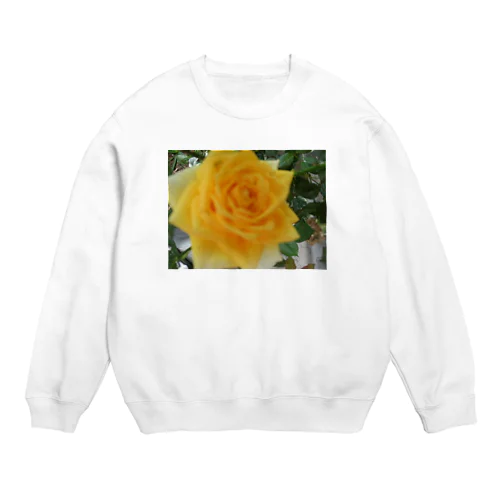 BARA Crew Neck Sweatshirt