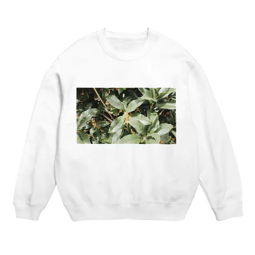 金木犀の朝 Crew Neck Sweatshirt