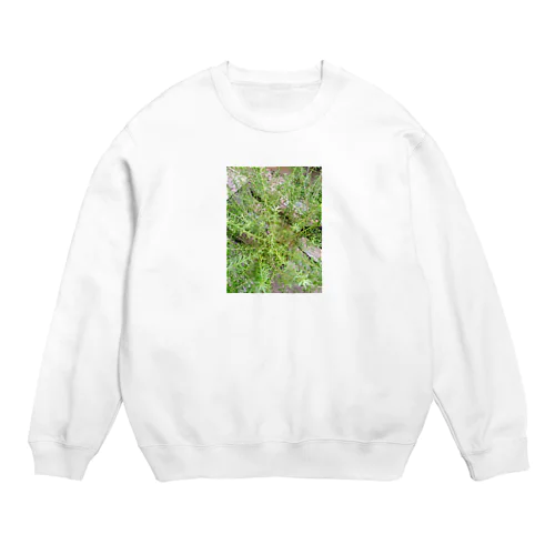 緑花 Crew Neck Sweatshirt