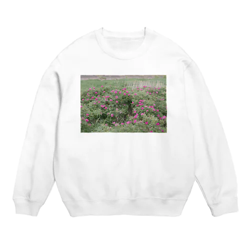 #キボウノヒカリ-ハマナス Crew Neck Sweatshirt