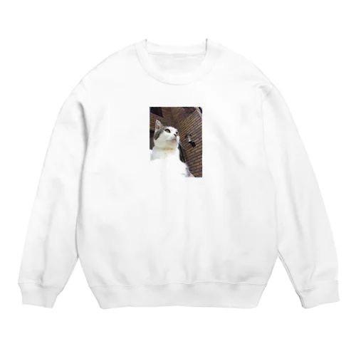 いつもふてぶてしいうちの愛猫 Crew Neck Sweatshirt