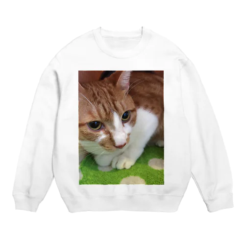 ぽてとさんヾ(◍'౪`◍)ﾉﾞ Crew Neck Sweatshirt