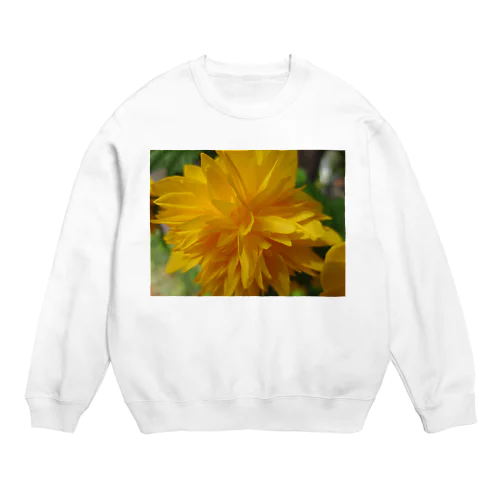 輝きを求めて・・・ Crew Neck Sweatshirt