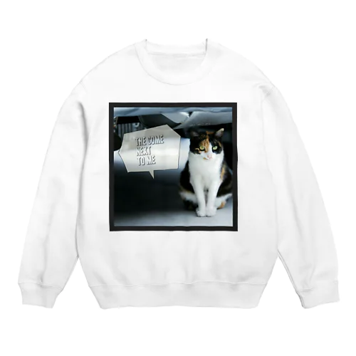 The Come Next To Me Crew Neck Sweatshirt