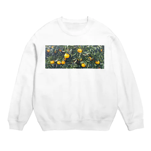 ミカン Crew Neck Sweatshirt