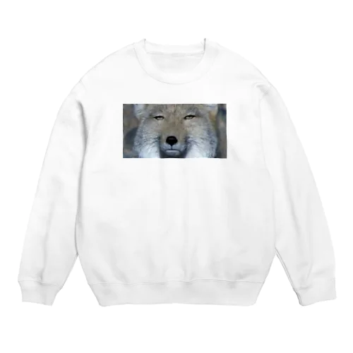 チベスナと共に見つめる2 Crew Neck Sweatshirt