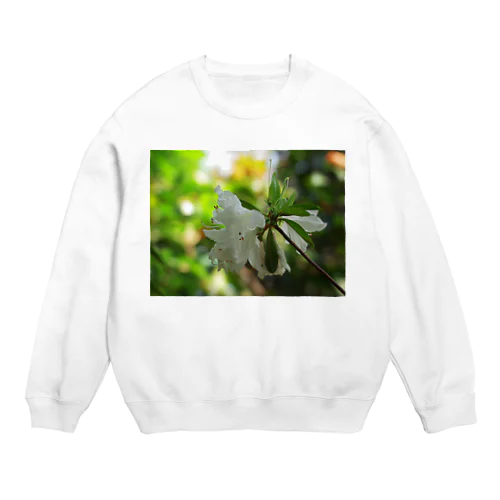 ツツジ　azalea DATA_P_113 Crew Neck Sweatshirt