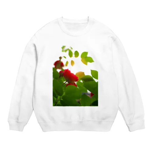 バラ　薔薇　rose DATA_P_117 Crew Neck Sweatshirt