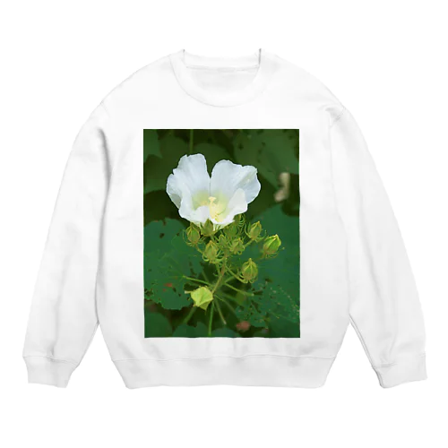 芙蓉 DATA_P_132　Confederate Rose ハスの花の古名 Crew Neck Sweatshirt