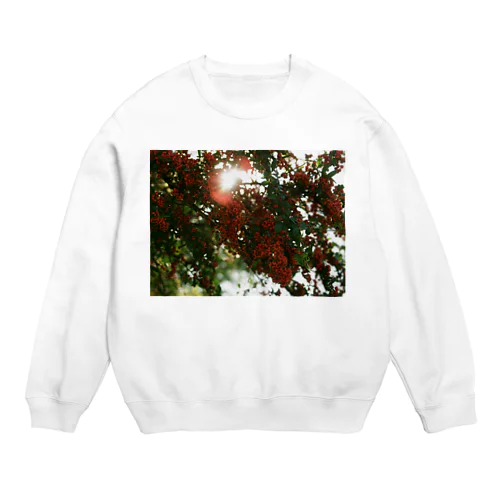 ピラカンサス　DATA_P_136 Crew Neck Sweatshirt