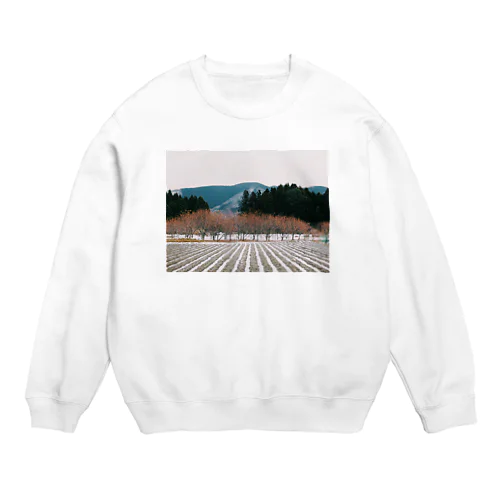 landscape No.5 Crew Neck Sweatshirt