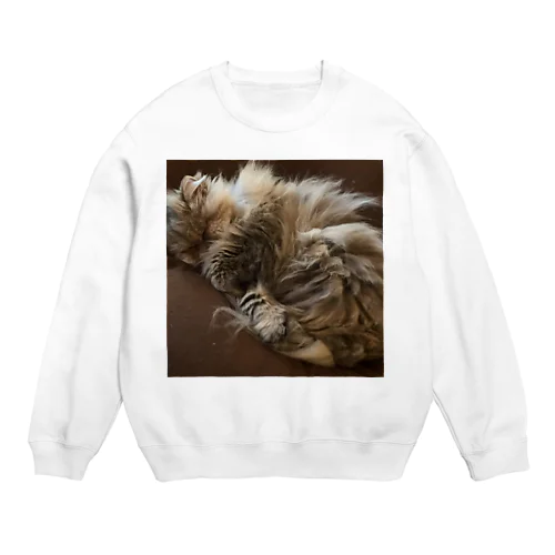 Changpote Crew Neck Sweatshirt