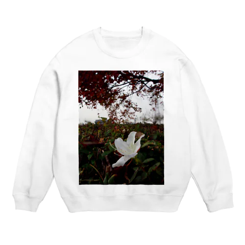 狂い咲くツツジ　DATA_P_144 Crew Neck Sweatshirt