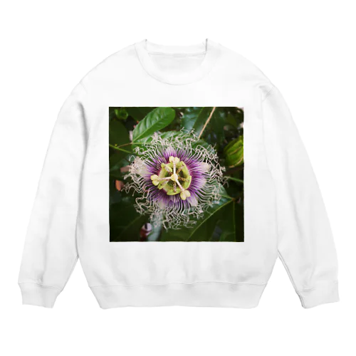 時計草 Crew Neck Sweatshirt