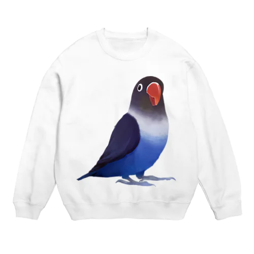 ボタンインコ　おすましコバルトブルー【まめるりはことり】 Crew Neck Sweatshirt