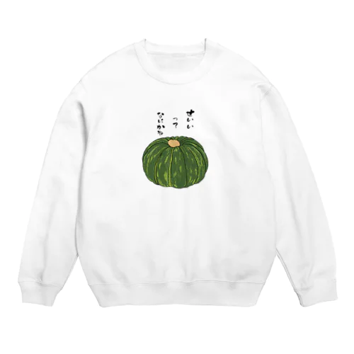 果たしてカボチャは本当に誠意にならないのか? Crew Neck Sweatshirt