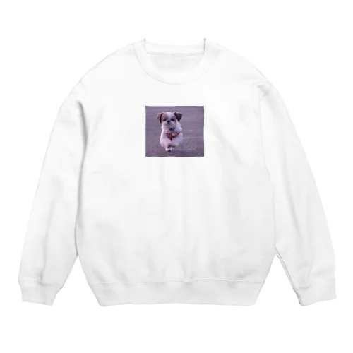 心ちゃんグッズ Crew Neck Sweatshirt