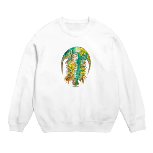 Paradoxides Crew Neck Sweatshirt