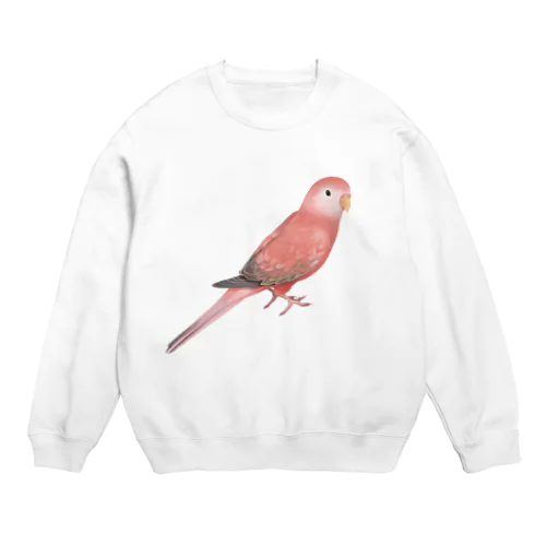 アキクサインコ　ピンク【まめるりはことり】 Crew Neck Sweatshirt