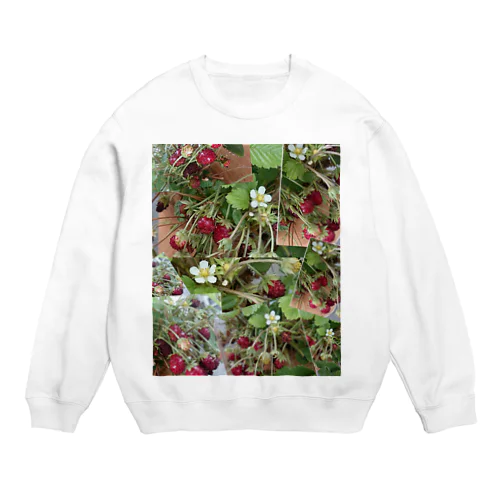 ワイルドストロベリー②(フラワー) Crew Neck Sweatshirt