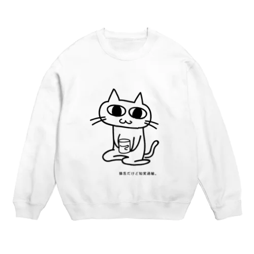 猫舌だけど知覚過敏。type01 Crew Neck Sweatshirt