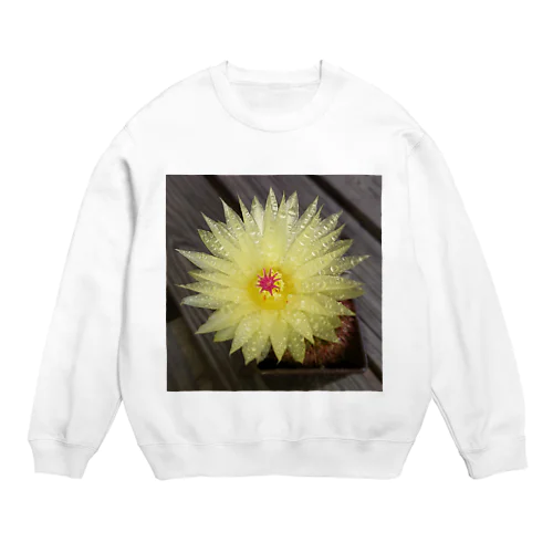 サボテンの花 Crew Neck Sweatshirt