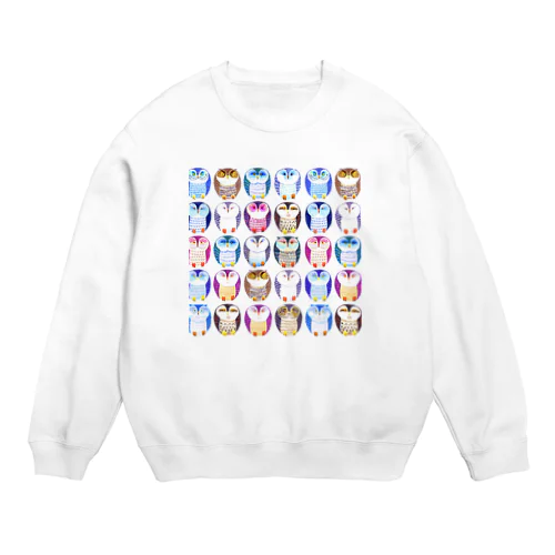 colorful owl Crew Neck Sweatshirt