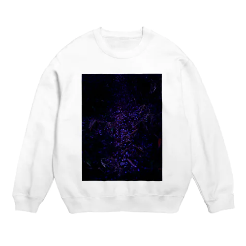 桜　サクラ　cherry blossom DATA_P_153　春　spring Crew Neck Sweatshirt