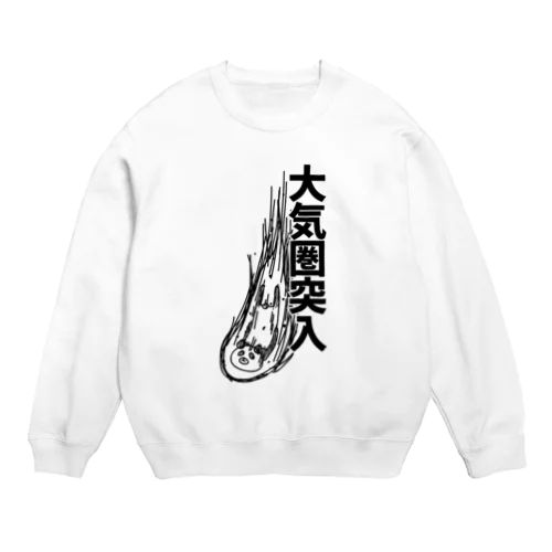 大気圏に突入するパンダ Crew Neck Sweatshirt