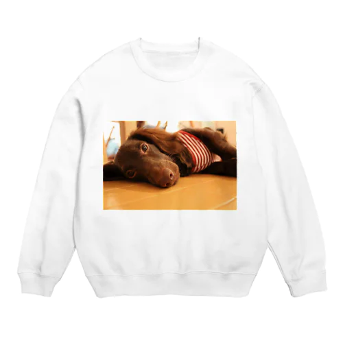 HARRY Crew Neck Sweatshirt