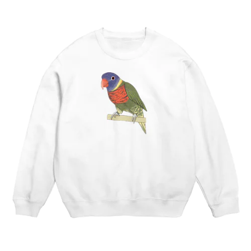 色合いが綺麗なゴシキセイガイインコちゃん【まめるりはことり】 Crew Neck Sweatshirt