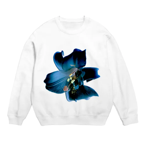 Lily (Denim Colour) Crew Neck Sweatshirt