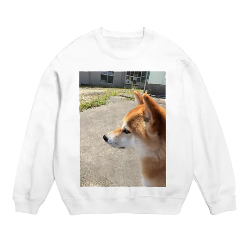 華柴 Crew Neck Sweatshirt